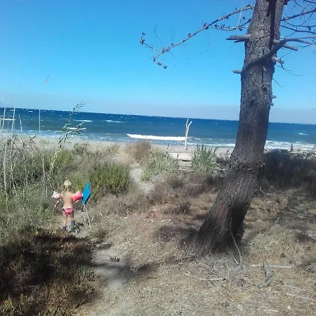 بيت للعطل Aloha Pool-beach 500m Santa-Maria-Poggio (Corsica)