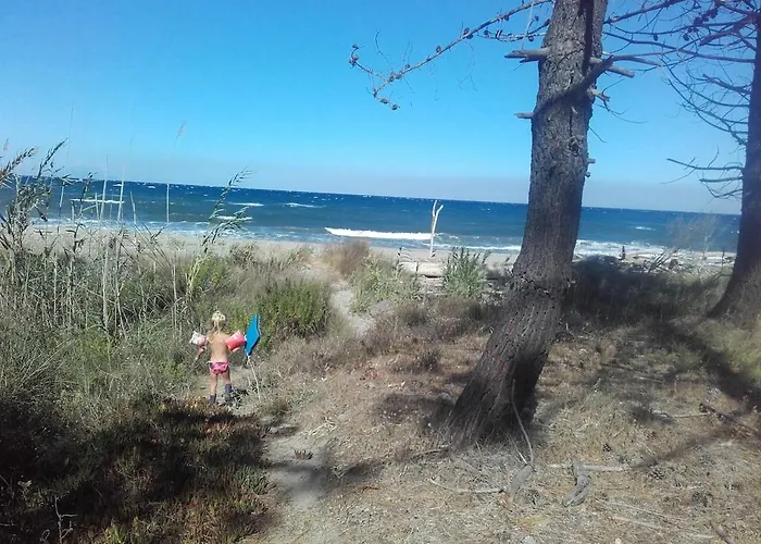 Hébergement de vacances Aloha Pool-beach 500m Santa-Maria-Poggio (Corsica)