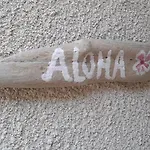 Hébergement de vacances Aloha Pool-beach 500m *