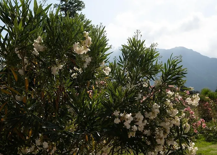 Aloha Pool-beach 500m Prázdninový dům *